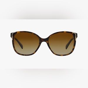 Prada conceptual polarized sunglasses - Havana